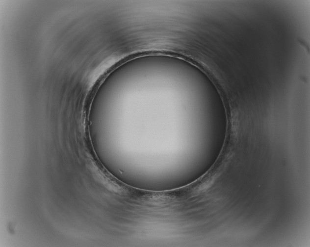 X0000103481077200809261922