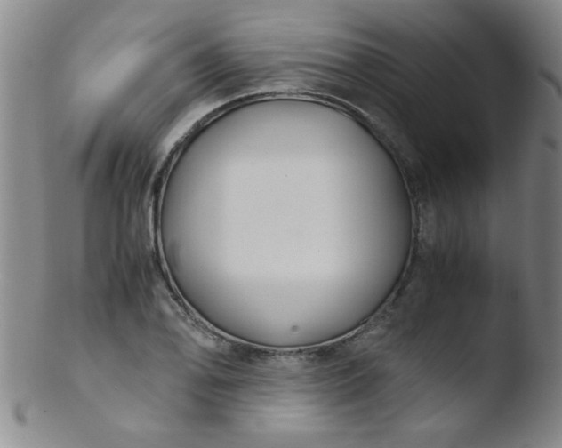 X0000103481078200809261922