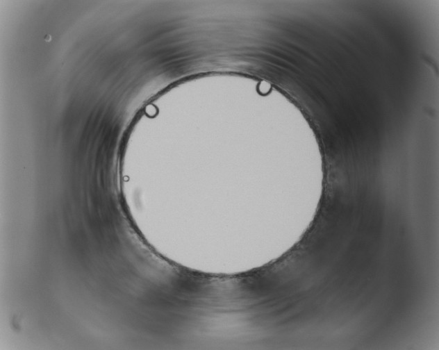 X0000103481080200809261922