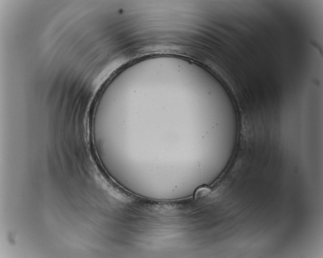 X0000103481082200809261922