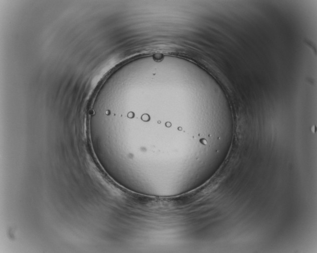X0000103481083200809261922