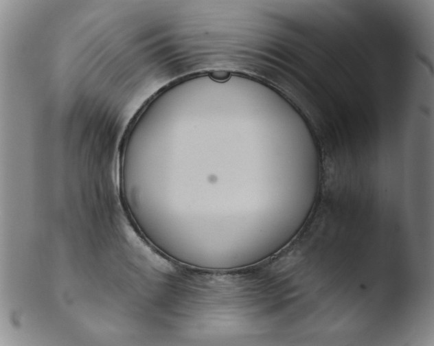 X0000103481084200809261922