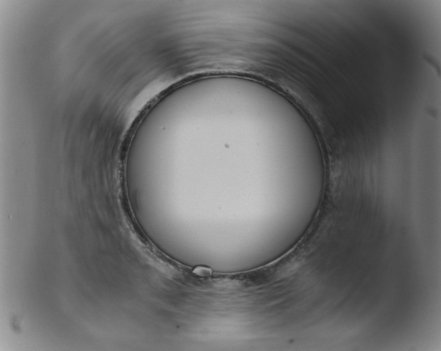 X0000103481085200809261922