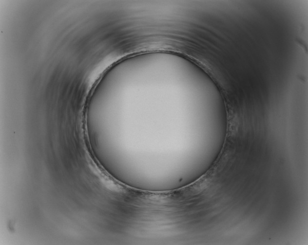X0000103481086200809261922