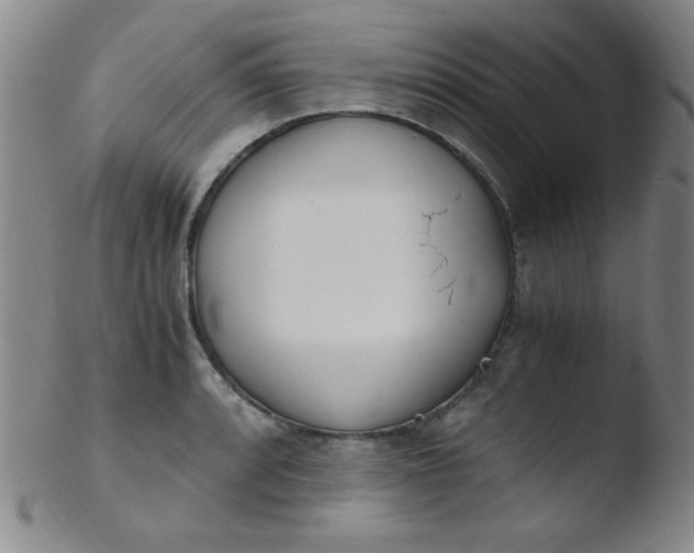 X0000103481088200809261922