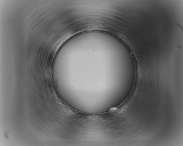 X0000103481089200809261922