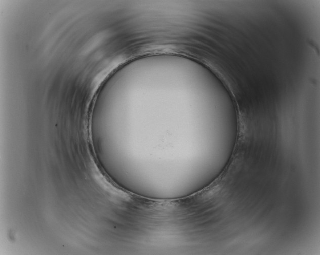 X0000103481090200809261922