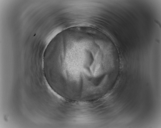 X0000103481095200809261922