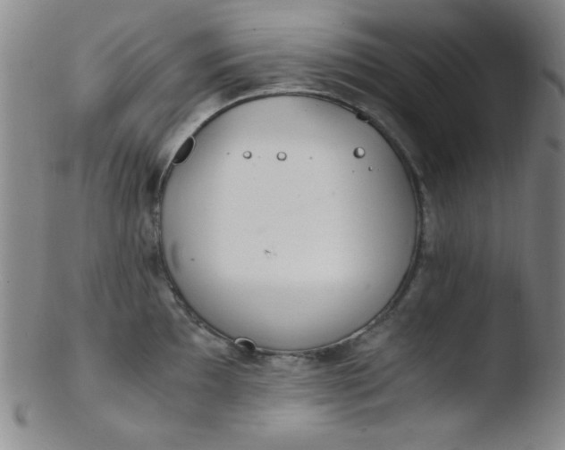 X0000103481097200809261922
