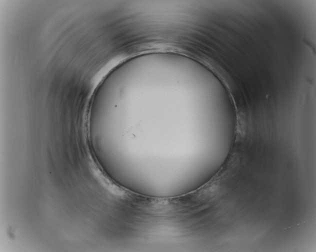 X0000103481098200809261922