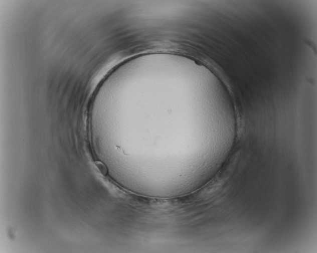 X0000103481099200809261922