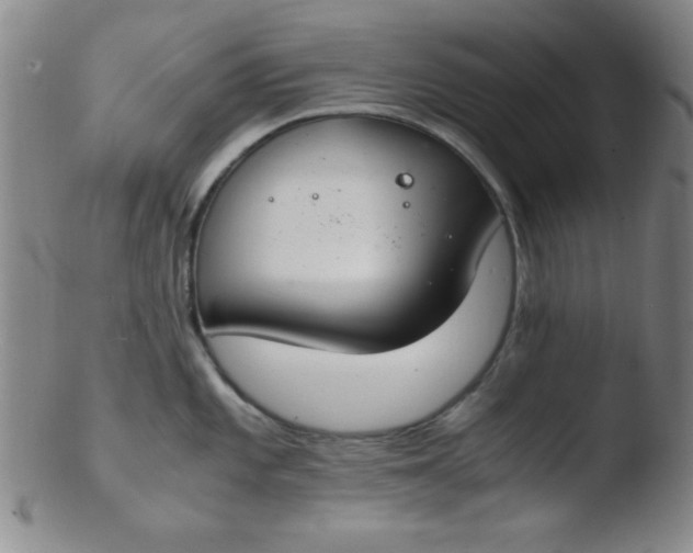 X0000103481101200809261922
