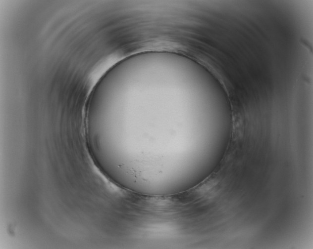 X0000103481103200809261922