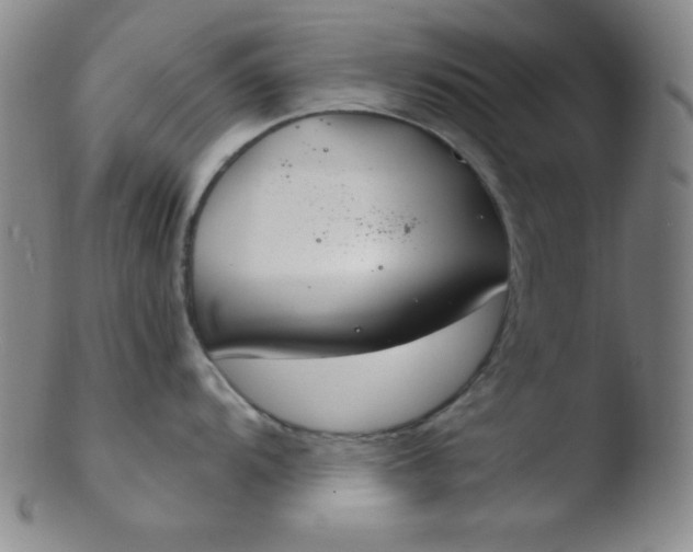 X0000103481104200809261922