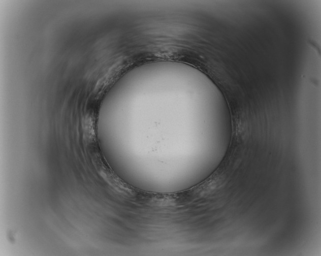 X0000103481106200809261921