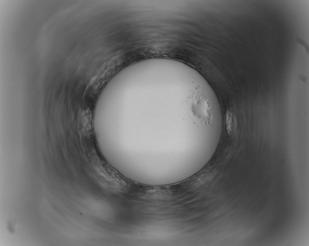 X0000103481107200809261921