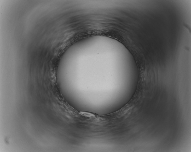 X0000103481109200809261921