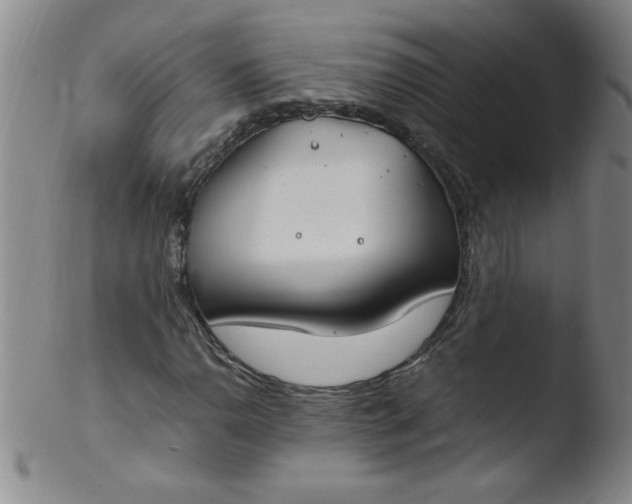 X0000103481110200809261921