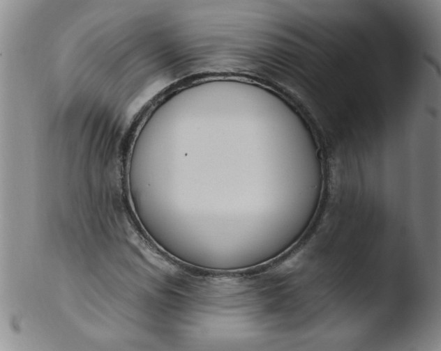 X0000103481114200809261921