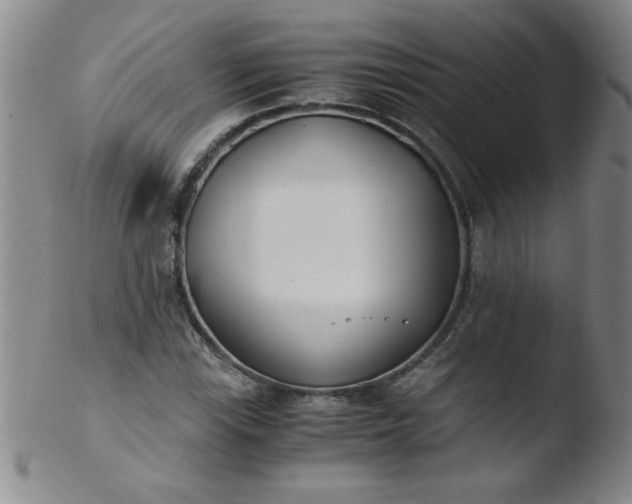 X0000103481115200809261921