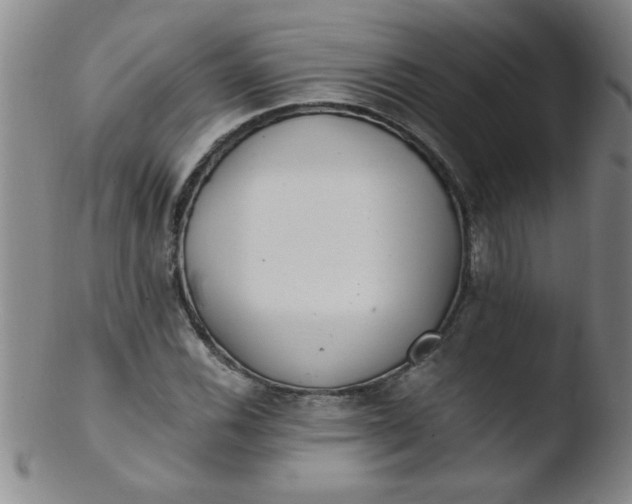 X0000103481116200809261921
