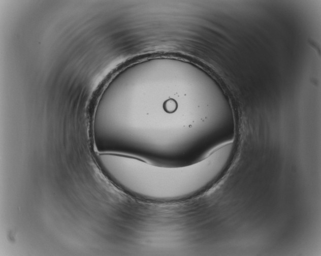 X0000103481118200809261921
