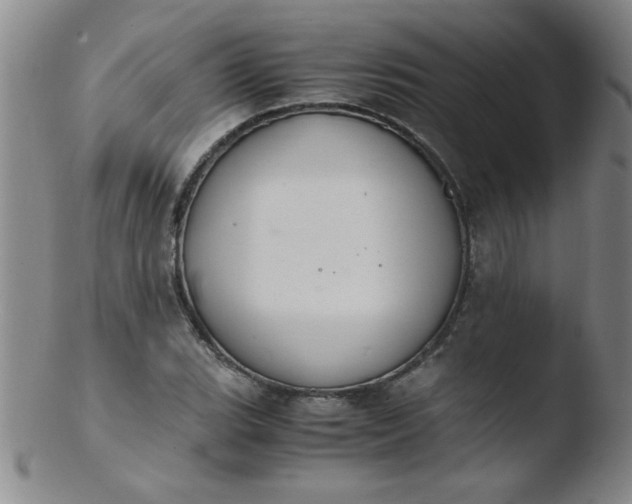 X0000103481119200809261921