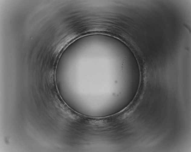 X0000103481121200809261921