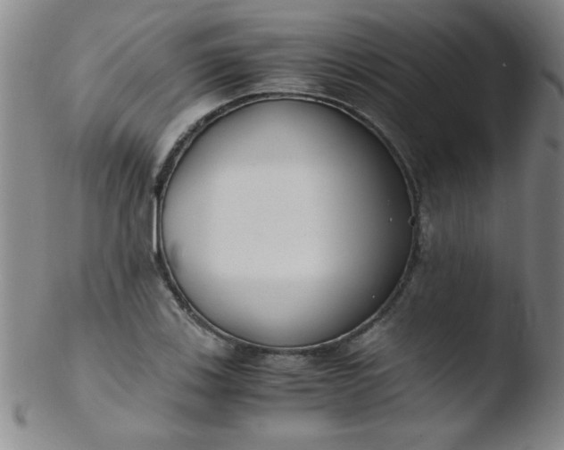 X0000103481123200809261921