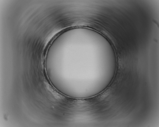 X0000103481124200809261921