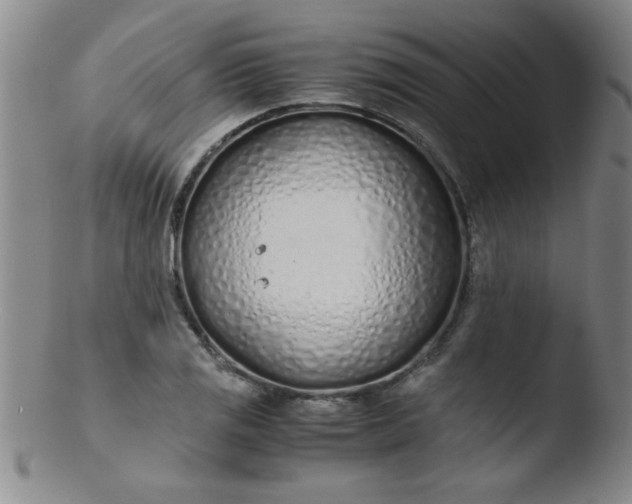 X0000103481125200809261921