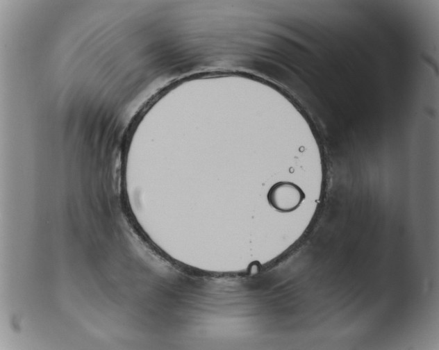 X0000103481126200809261921