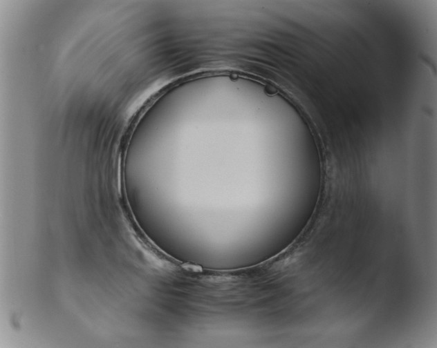 X0000103481127200809261921