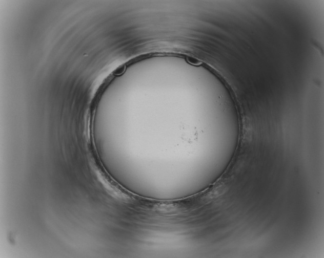 X0000103481128200809261921