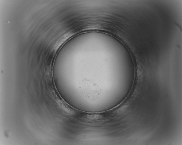 X0000103481129200809261921