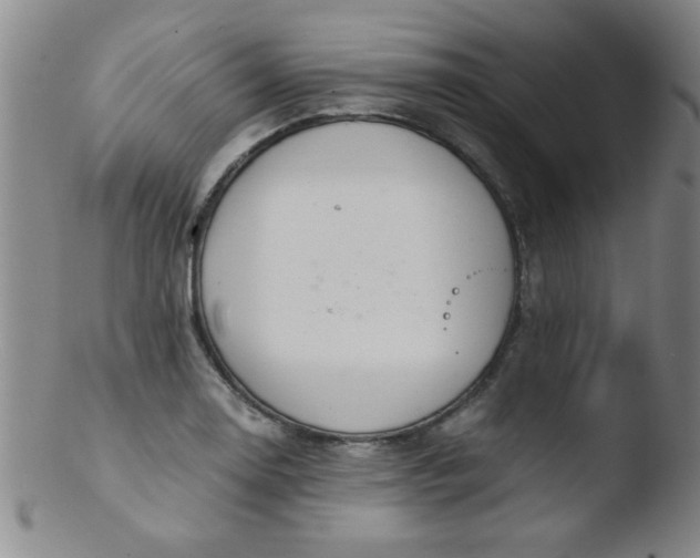 X0000103481130200809261921