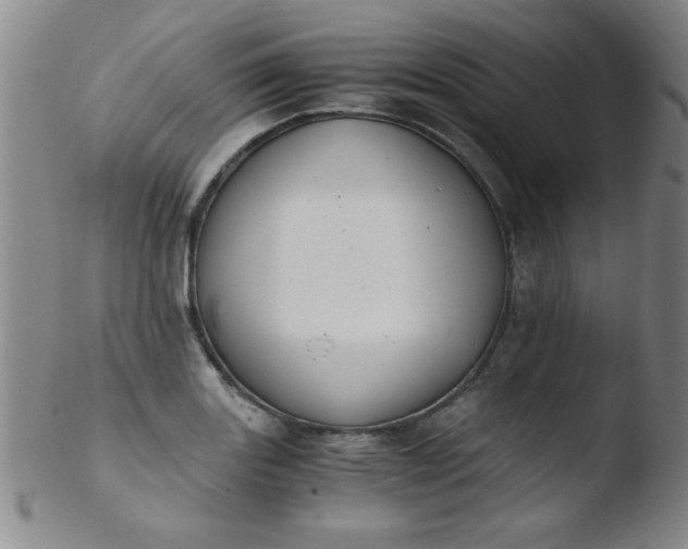 X0000103481131200809261921