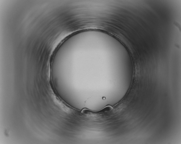 X0000103481132200809261921