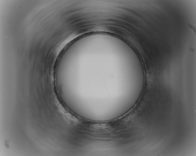 X0000103481133200809261921