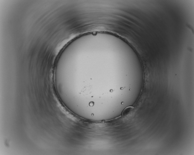 X0000103481134200809261921