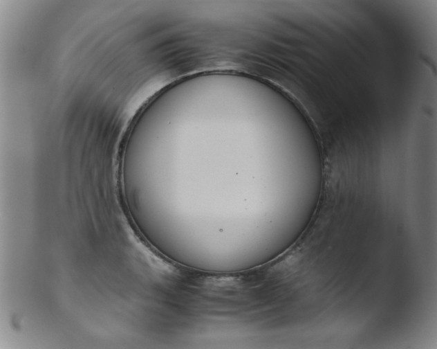 X0000103481135200809261921