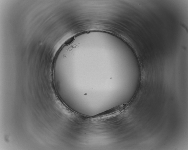 X0000103481138200809261921