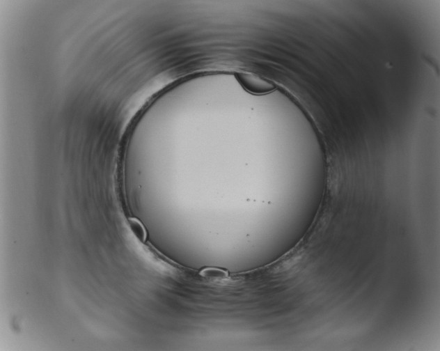X0000103481139200809261921