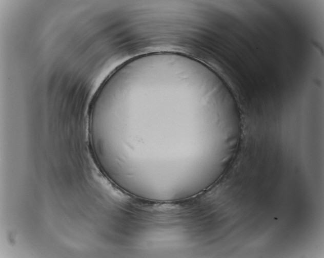 X0000103481140200809261921