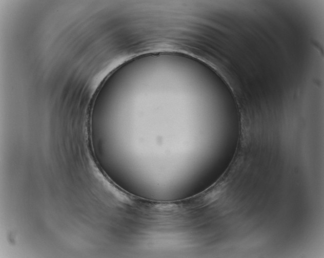 X0000103481142200809261922