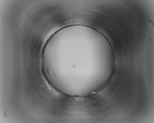 X0000103481144200809261922