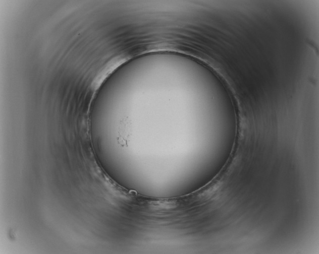 X0000103481145200809261922