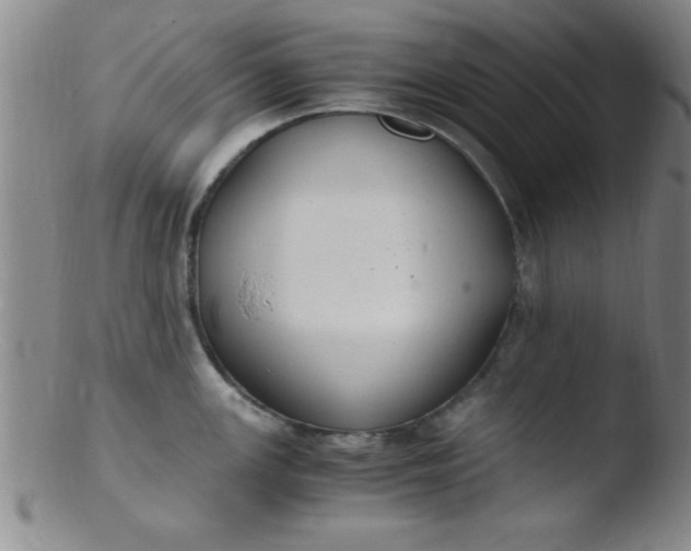 X0000103481147200809261922