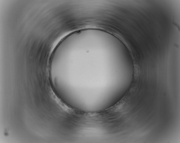 X0000103481148200809261922