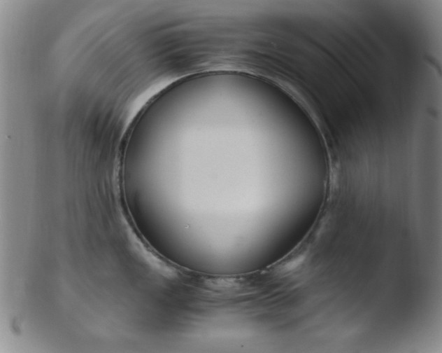 X0000103481149200809261922